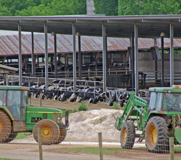 Sweetwater Valley Farm