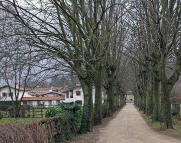 Azienda Agricola ZOFF