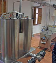 Olive Oil Process