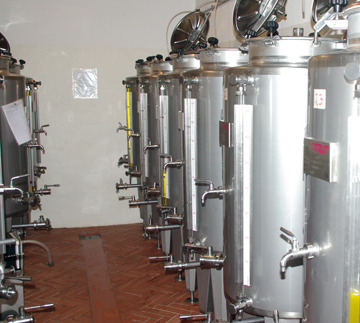 Olive Oil Process