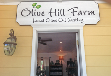 Olive Hill Farm