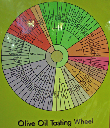 Tasting Olive Oils